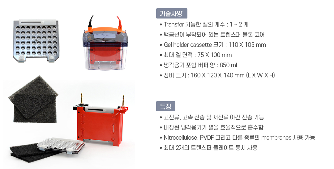spec_Prosis_miniTRANSFER_kit.png